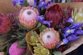 Colorful bouquet of King Proteas Ã¢â¬â the national flower of South Africa